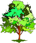Earth/Environment